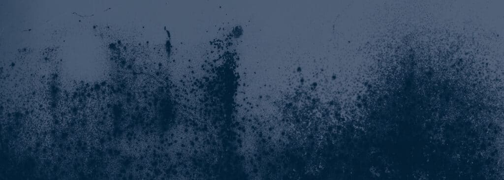 Mold behind kitchen cabinets.