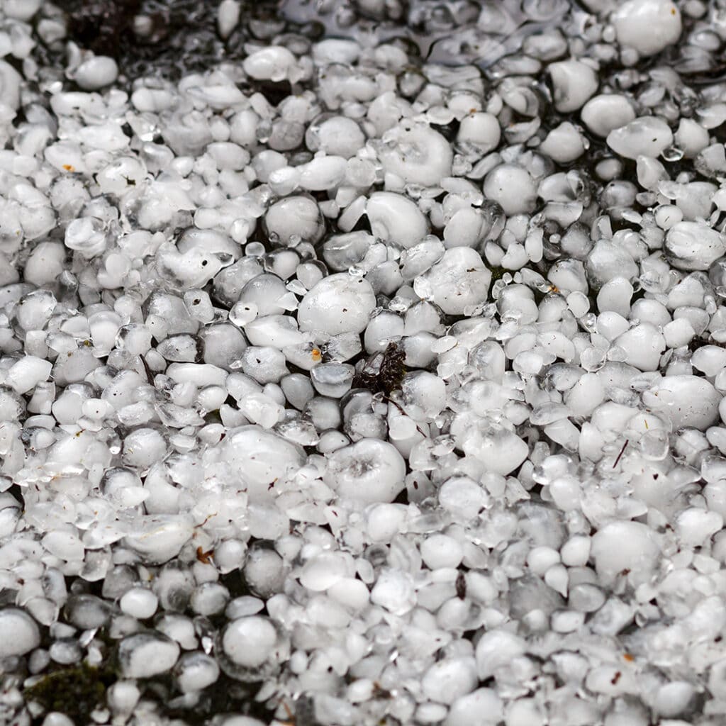 hailstones on the ground after hailstorm, hail of great size, hail sized with a larger coin