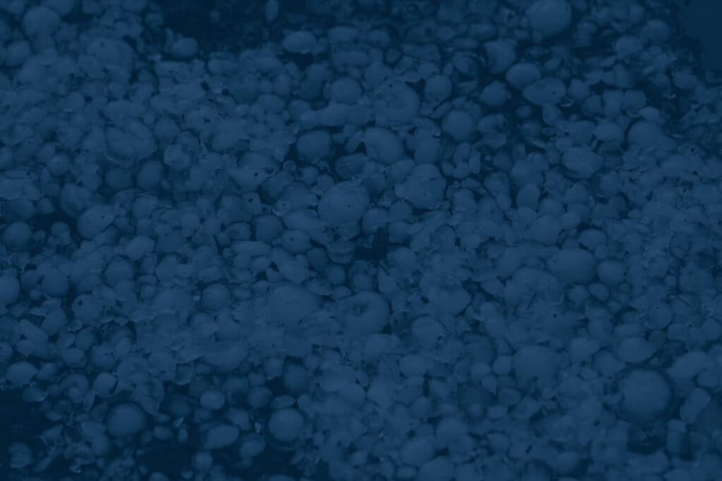 hailstones on the ground after hailstorm, hail of great size, hail sized with a larger coin