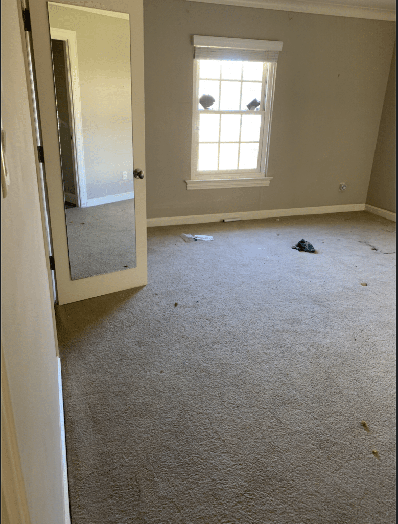 Screen-Shot-2020-02-20-at-1.45.43-PM