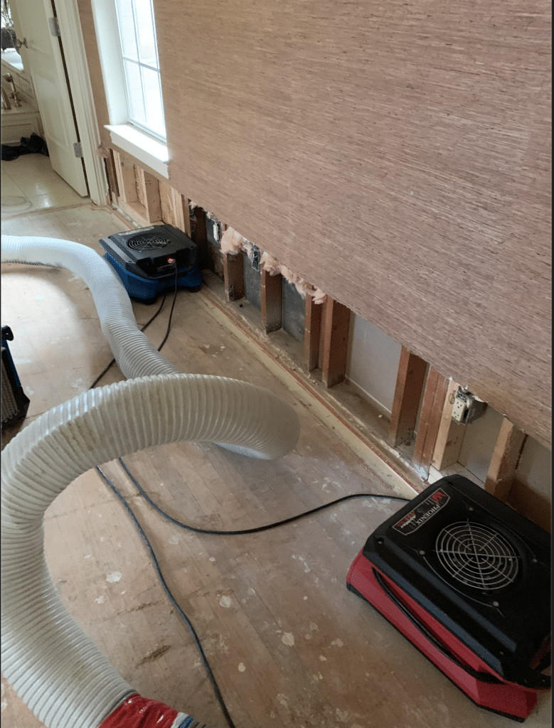 Screen-Shot-2020-02-20-at-1.49.34-PM