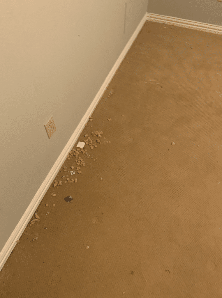 Screen-Shot-2020-02-20-at-1.55.23-PM